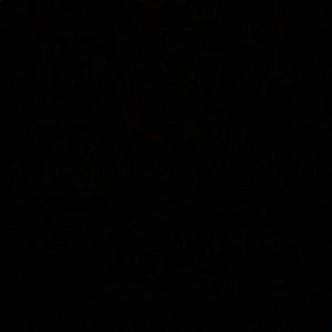 Meet your Posher, Stella